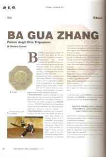 Artic bagua NMH 7