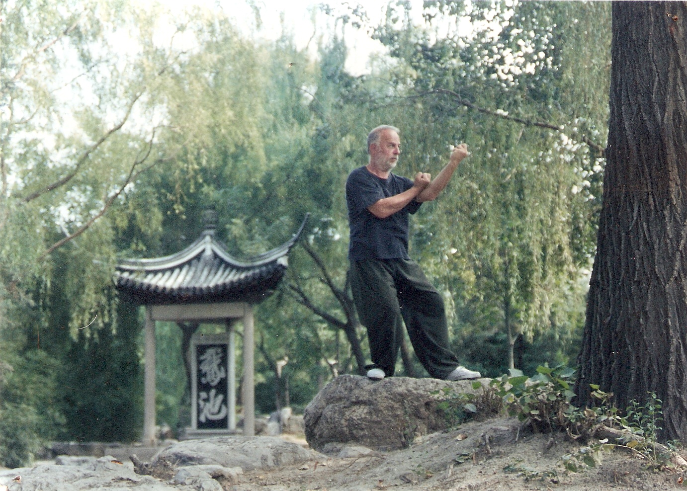 Il Maestro Enrico Colmi in LH TLQ, a Pechino, Parco Tao Rang Tin 2