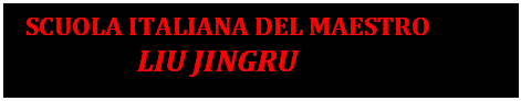 Casella di testo:   SCUOLA ITALIANA DEL MAESTRO        
                     LIU JINGRU
         
              Baguazhang     Xingyiquan     Liuhe tanglangquan
